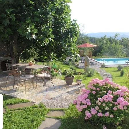 Villa Mavrici, Neighbors Free Buzet Zewnętrze zdjęcie