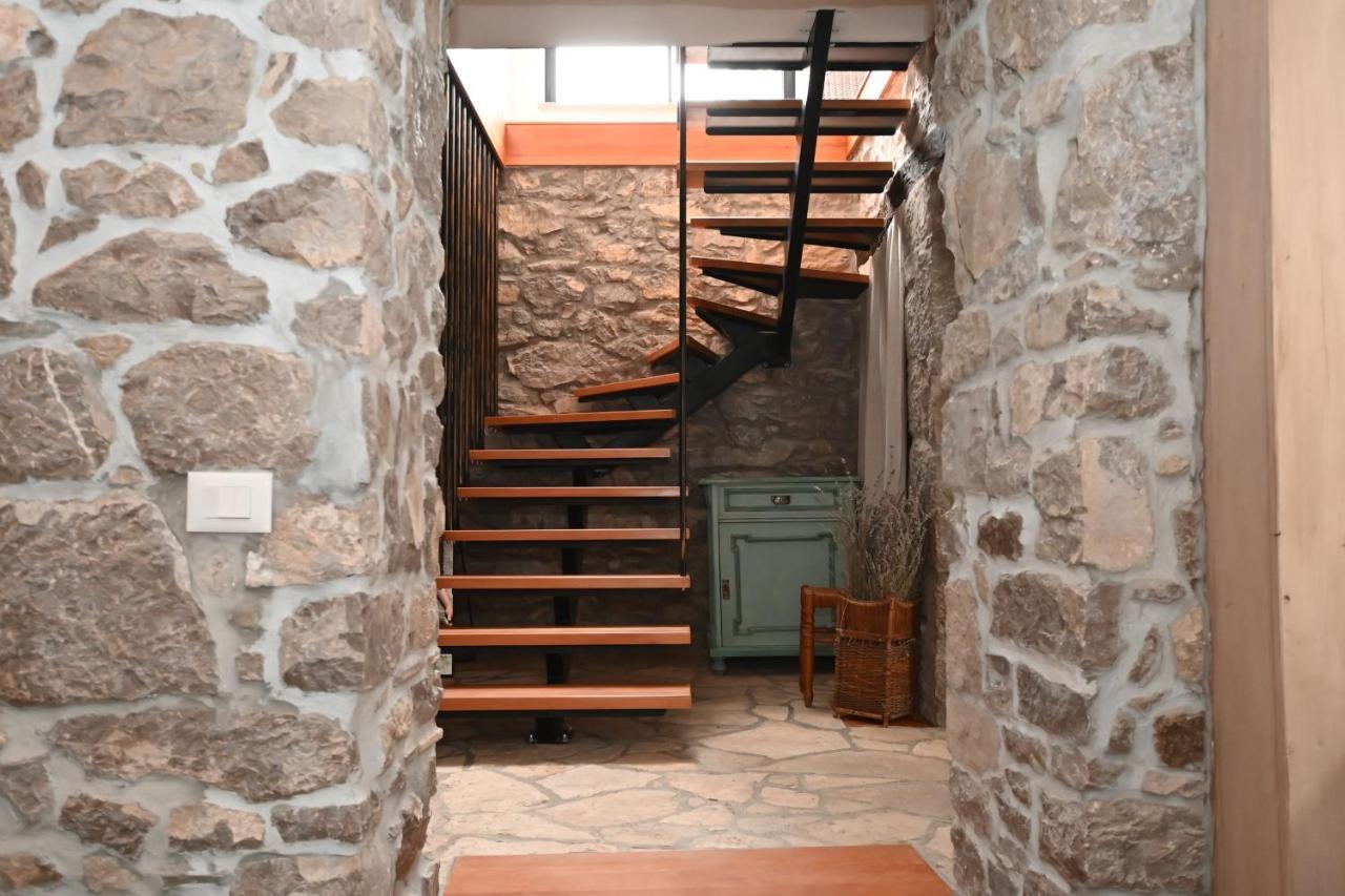 Villa Mavrici, Neighbors Free Buzet Zewnętrze zdjęcie