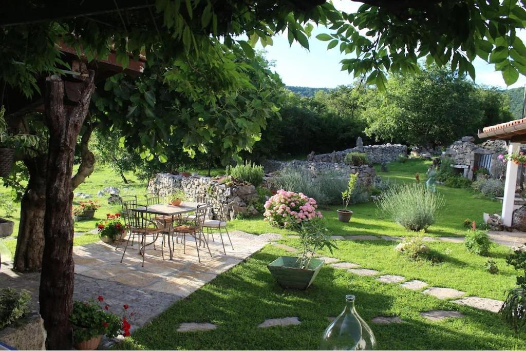 Villa Mavrici, Neighbors Free Buzet Zewnętrze zdjęcie