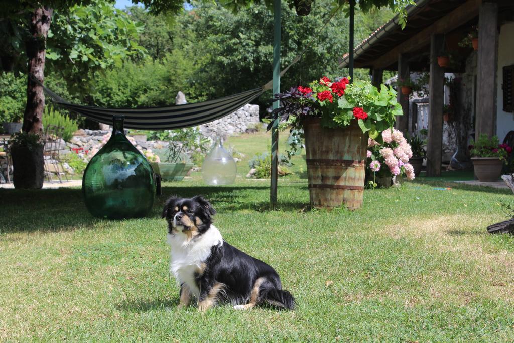 Villa Mavrici, Neighbors Free Buzet Zewnętrze zdjęcie