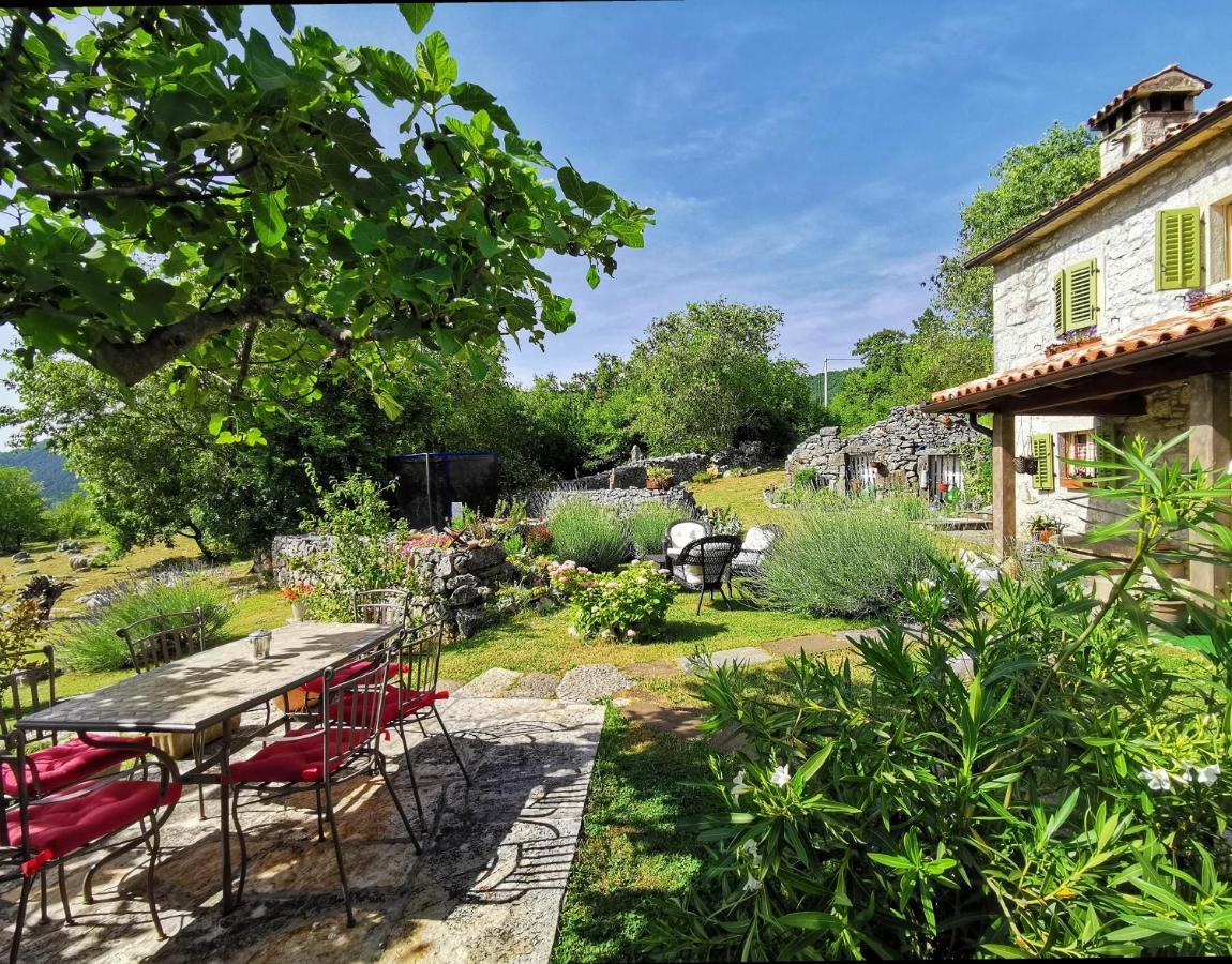 Villa Mavrici, Neighbors Free Buzet Zewnętrze zdjęcie